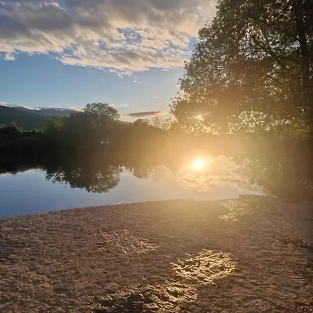 Lila